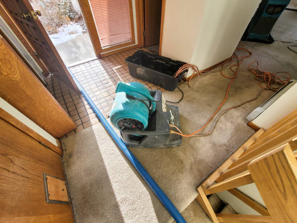 Best Sewage cleanup and water damage restoration  in Salida Del Sol Estates, TX