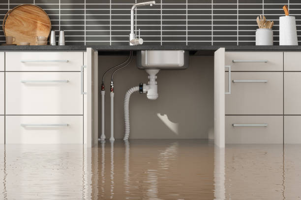 Best Local water damage restoration  in Salida Del Sol Estates, TX