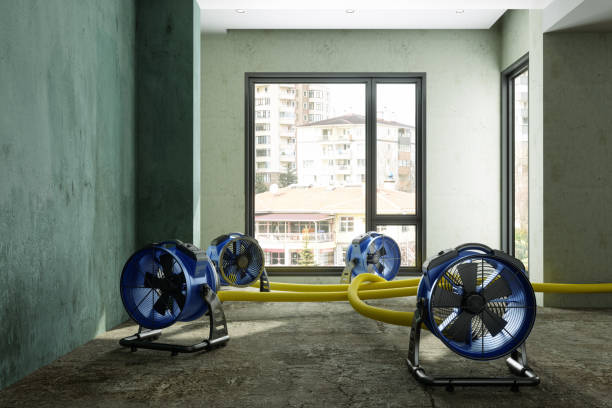 Best Basement water damage restoration  in Salida Del Sol Estates, TX